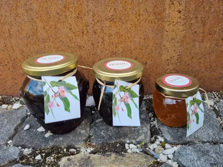 Eukalyptusblüten Honig